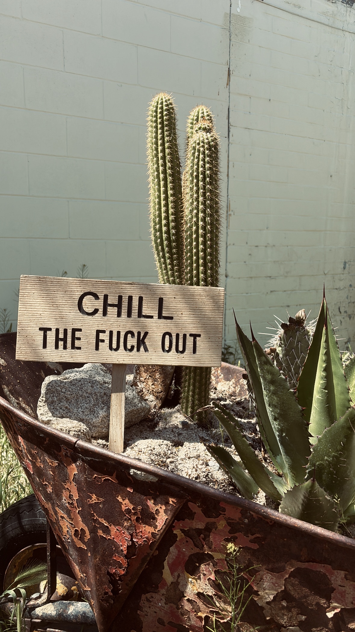 Joshua Tree Itinerary