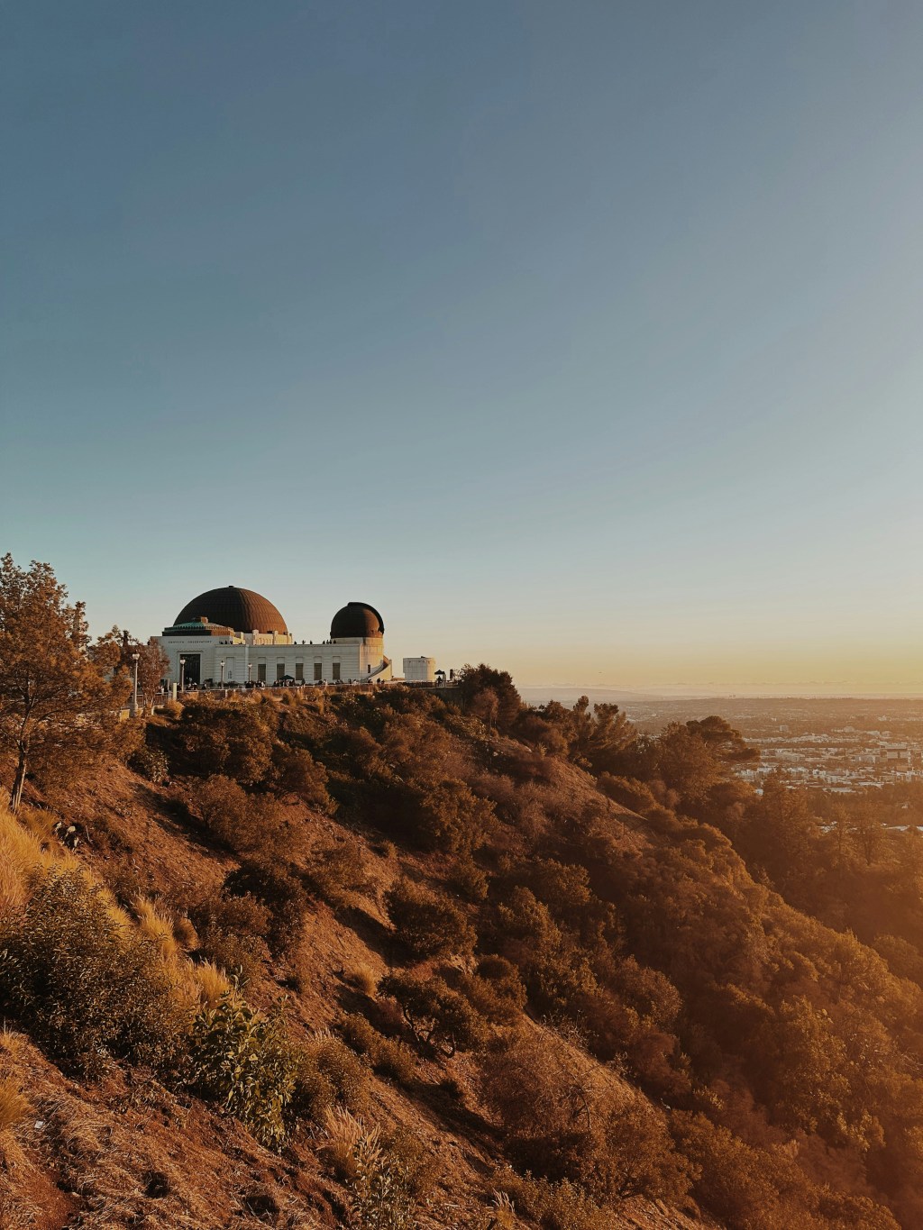 A Local’s Guide to the Best Museums in&nbsp;LA