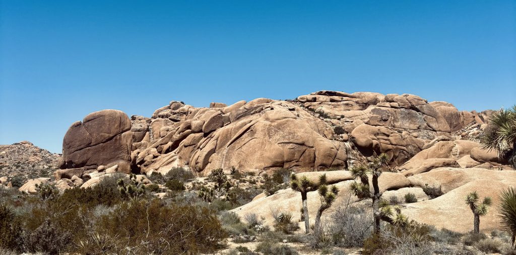 Joshua Tree Itinerary 