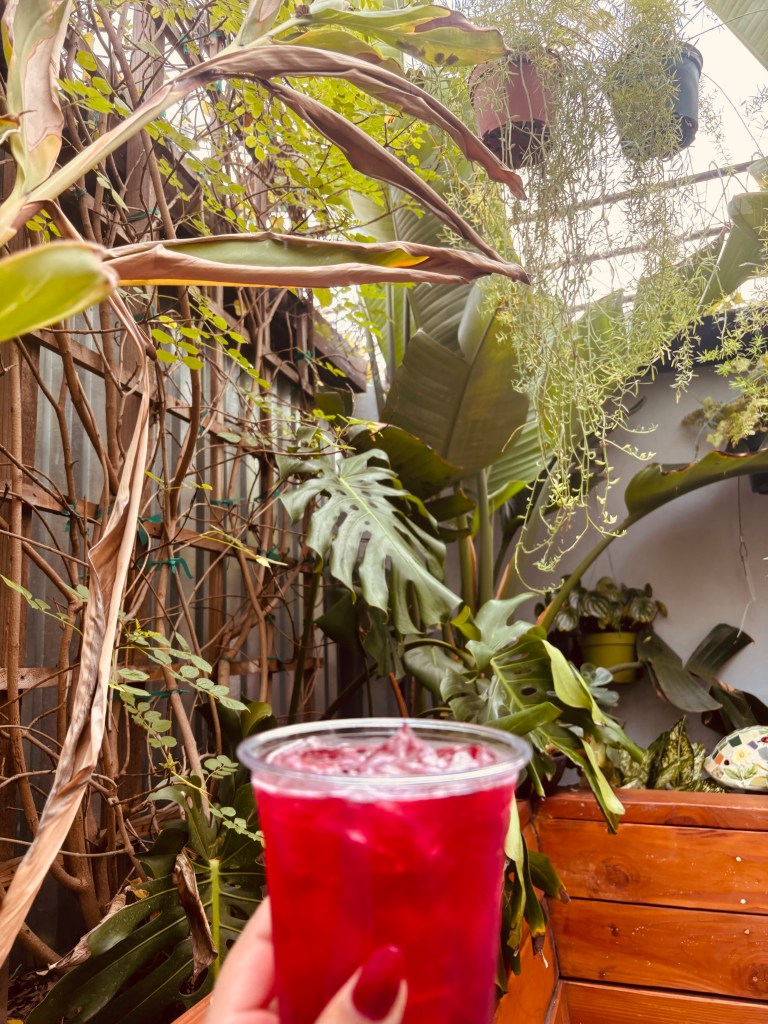 LA Women-Owned Coffee Shops