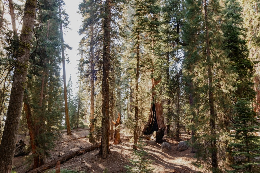 Your Aesthetic Guide to Fall Staycations in California