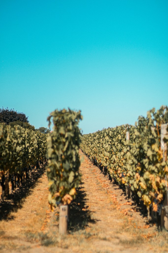 California Fall Staycations