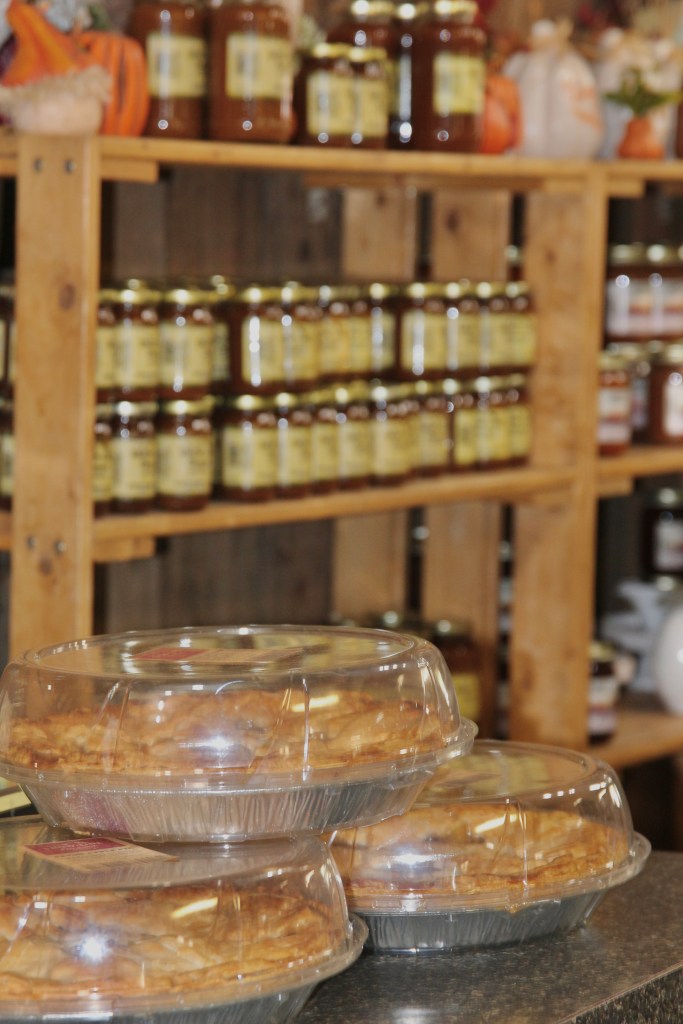 Fall in Oak Glen: Where to Stay, Sip & Soak in the Season